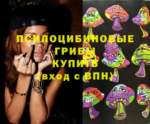 шишки Пролетарск