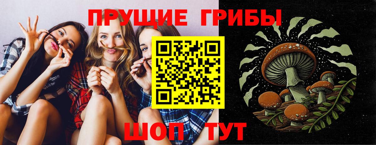 Псилоцибиновые грибы MAGIC MUSHROOMS Белгород