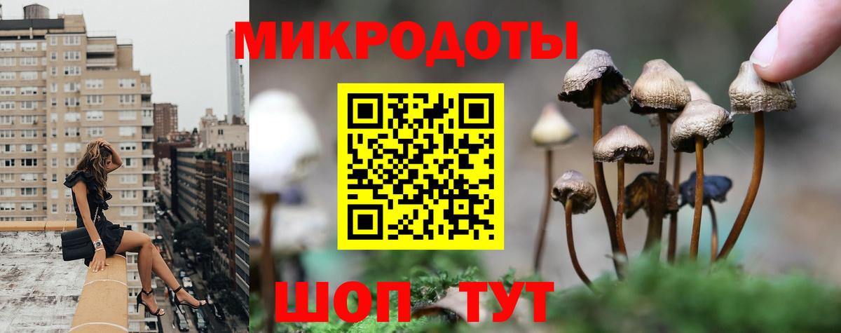 Псилоцибиновые грибы мицелий  Псилоцибиновые грибы Cubensis  Белгород  Вход с VPN 